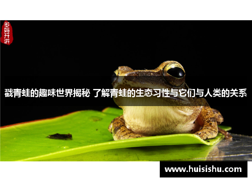 戳青蛙的趣味世界揭秘 了解青蛙的生态习性与它们与人类的关系