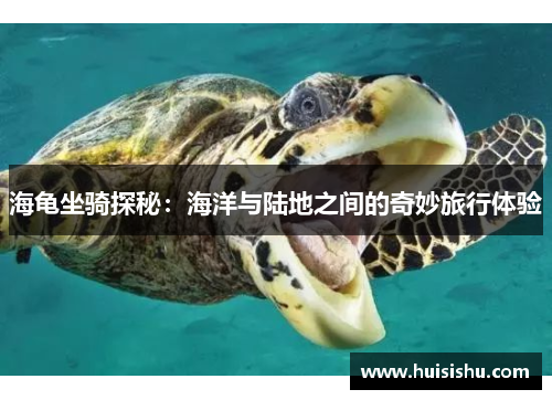 海龟坐骑探秘：海洋与陆地之间的奇妙旅行体验