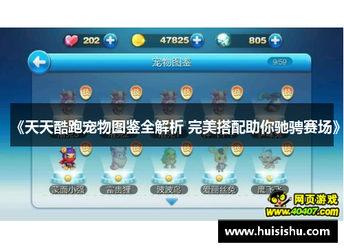 《天天酷跑宠物图鉴全解析 完美搭配助你驰骋赛场》