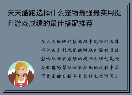 天天酷跑选择什么宠物最强最实用提升游戏成绩的最佳搭配推荐